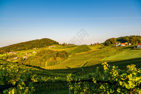 SulztalStyria奥地利2018年9月7日VineyardsSulztal著名的目地葡萄酒街区Styria南部夏季葡萄酒图片