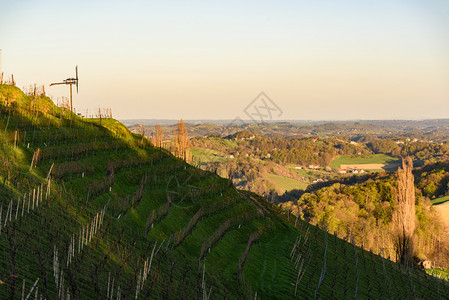 在斯提里亚奥地利贝尼茨区南部斯洛文尼亚山谷的葡萄园上可以看到日出的风景图片