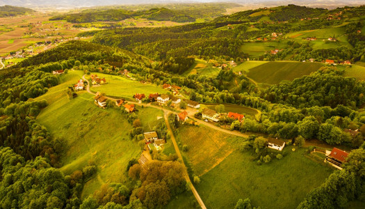 奥地利葡萄园景观奥地利南施蒂里亚的莱布尼茨地区葡萄酒国南部莱布尼茨地区托斯卡纳等地和著名旅游点图片