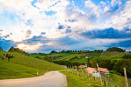 南施蒂里亚葡萄园地貌靠近奥利加姆茨欧洲春季葡萄园地貌来自葡萄酒路南施蒂里亚葡萄园地貌欧洲葡萄园地貌来自春季葡萄酒路旅游目的地行点图片