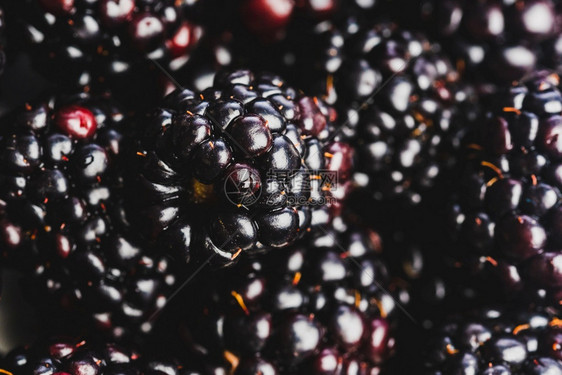 新的黑莓背景关闭桌子上有很多成熟汁的野果生浆顶层视图新鲜黑莓背景关闭图片