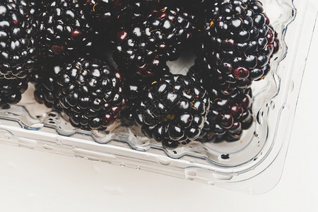 塑料容器中的黑莓孤立的复制空间塑料容器中的黑莓孤立图片