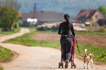 妇女与婴儿车和野外狗一起在农村公路上行走母亲与孩子和比格尔狗在农村的日落母亲与孩子和比格尔狗在农村的日落图片