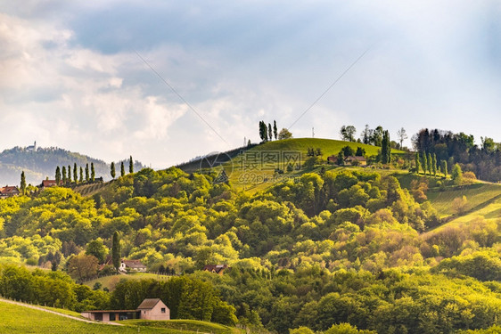 葡萄酒国Styria以南的Styria以南的奥地利VineyardsSulztalLeibnitz地区著名的旅游目地Sunny风图片