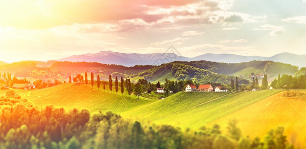 葡萄酒国Styria以南的VineyardsSulztal地区的全景著名旅游目地阳光景色Vivid图像编辑版奥地利Vineyar图片
