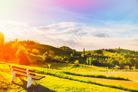 葡萄酒国Styria以南的Styria以南的奥地利葡萄园SulztalLeibnitz地区著名的旅游目地Sunny风景图像编辑版图片