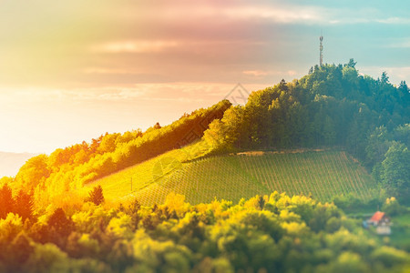 葡萄酒国Styria以南的奥地利葡萄园苏尔兹塔莱布尼茨地区著名旅游目的地桑尼景色Vivid经编辑的图像版本奥地利葡萄园莱布尼茨地图片