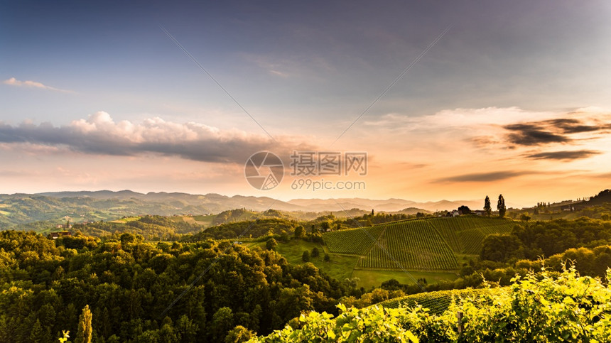 来自奥地利南部的著名葡萄酒街景象奥地利南部的著名葡萄酒街景象像葡萄园山旅游目的地从奥利南部的著名葡萄酒街景象像葡萄园山景象图片