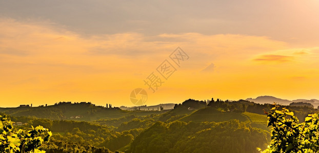 南StyriaVineyards风景全奥地利加姆茨附近的埃克伯格风景夏季日落时在葡萄园景色旅游目的地夏季在南Styria风景场色图片