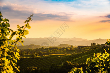 来自奥地利南部的著名葡萄酒街景象就像葡萄园山旅游目的地来自奥利南部的著名葡萄酒街景象像葡萄园山景象图片