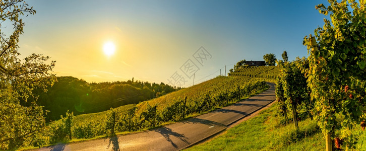 从葡萄园到夜光照耀的奥地利南部锡兰葡萄酒路线绿山的全景GlanzderWeinstrasse像奥地利旅行目的一样托斯卡纳从葡萄园图片