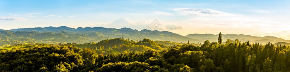 从葡萄园到夜光照耀的奥地利南部锡兰葡萄酒路线绿山的全景GlanzderWeinstrasse像奥地利旅行目的一样托斯卡纳从葡萄园图片