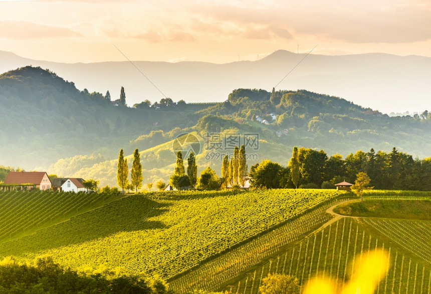 南施蒂里亚葡萄园地貌全景靠近奥地利加姆茨欧洲埃克伯格欧洲春季葡萄酒路的山旅游目的地点南施蒂里亚葡萄园地貌欧洲春季葡萄酒路的山景旅图片