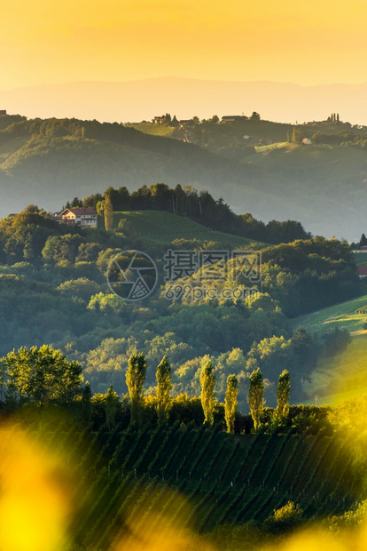 南Styria葡萄园景观全靠近奥地利加姆茨欧洲埃克伯格欧洲春酒路的葡萄山旅游目的地点行垂直照片南Styria葡萄园景观欧洲埃克伯图片