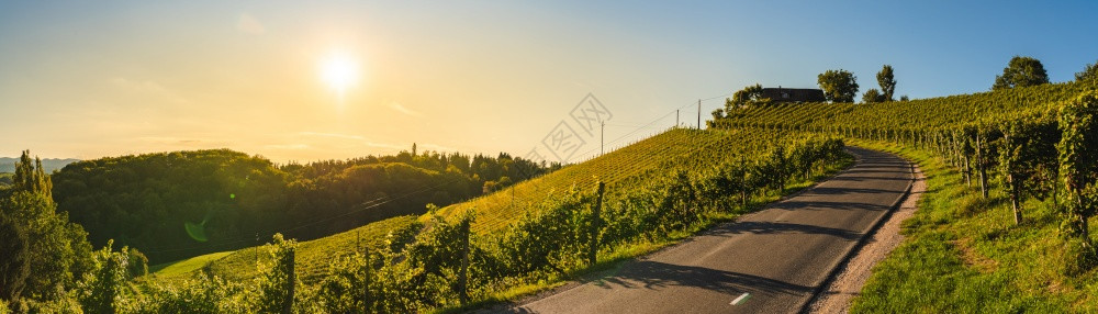 从葡萄园到夜光照耀的奥地利南部锡兰葡萄酒路线绿山的全景GlanzderWeinstrasse像奥地利旅行目的一样托斯卡纳从葡萄园图片