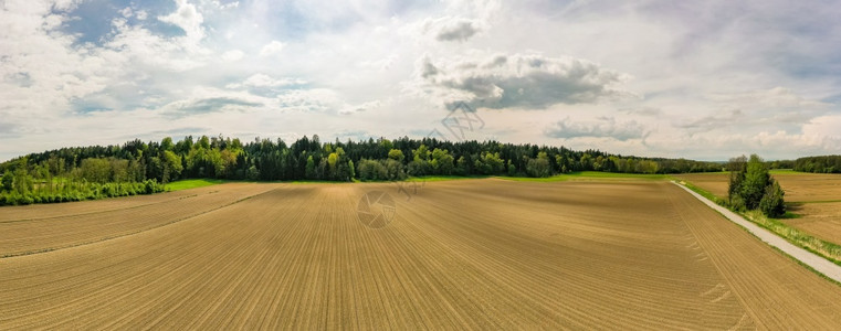 农村地区的绿农业谷物田的景观空中察农业谷物田的景观图片