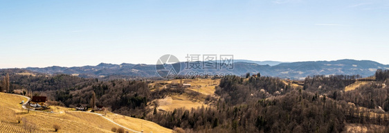 奥地利斯洛文尼亚边境VineyardsSulztalLeibnitz地区酒国Styria酒街以南的Leibnitz地区葡萄酒国3图片
