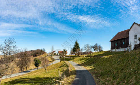 奥地利卡斯滕堡苏尔兹塔VineyardsSulztal莱布尼茨Leibnitz地区Styria南部葡萄酒街边国3月前季节图片