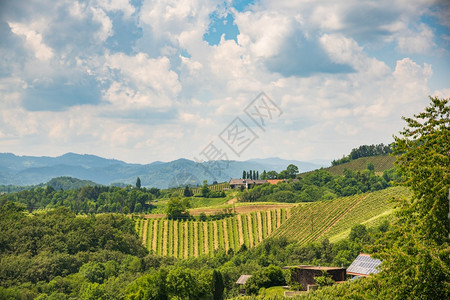 SulztalStyriaAustria2018年6月日VineyardsSulztalLeibnitz地区著名的目葡萄酒街区S图片