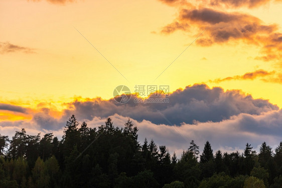 日落在森林上天空和云彩飞艳多自然背景日落在森林上天空和云彩多色图片