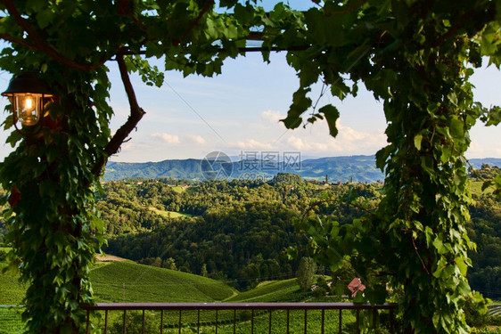 来自奥地利南部的著名葡萄酒街景象像是葡萄园山旅游目的地来自奥利南部的著名葡萄酒街景象就像葡萄园山景象图片