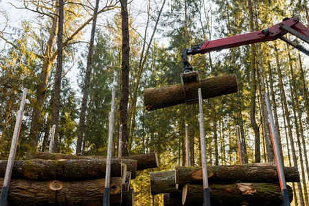 卡车上装森林木的吊车伐和林业运输森伐木业和运输木材采伐和林业运输图片