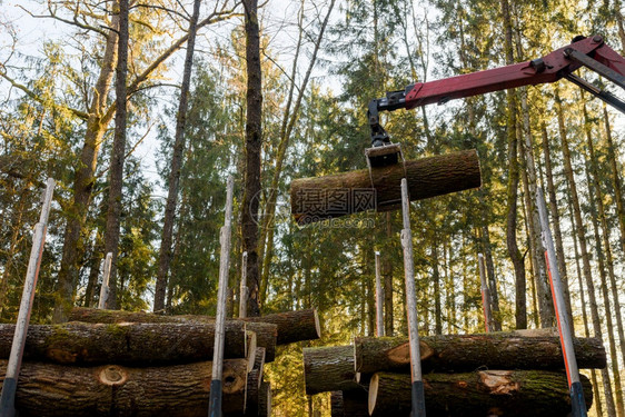 卡车上装森林木的吊车伐和林业运输森伐木业和运输木材采伐和林业运输图片