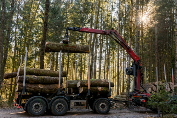 奥地利Kaiserwald公司20年1月日卡车中森林装货原木的Crane公司森林中的木材采伐和运输森林木业和的运输卡车中森林装货图片