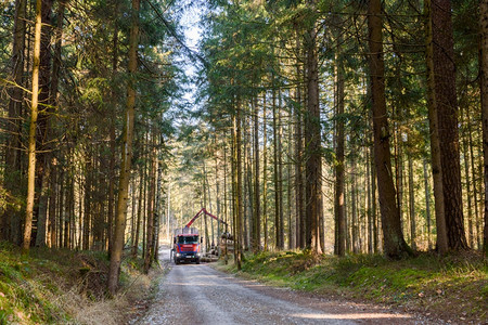 奥地利Kaiserwald公司20年1月日卡车中森林装货原木的Crane公司森林中的木材采伐和运输森林木业和的运输卡车中森林装货背景图片