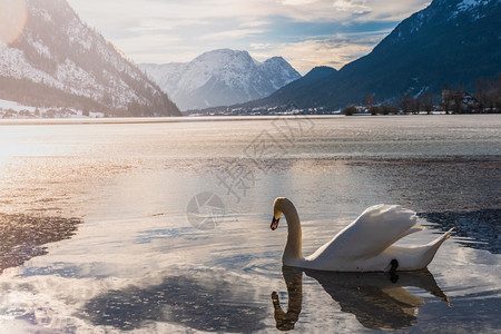 奥地利格伦德西的晴朗寒冷风景和蓝天空湖冬的鹅冰冻湖图片