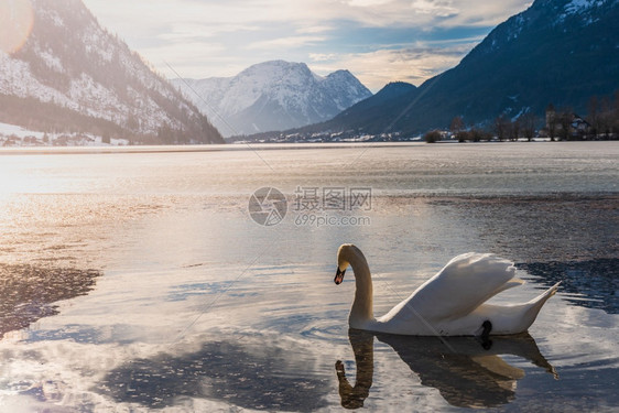 奥地利格伦德西的晴朗寒冷风景和蓝天空湖冬的鹅冰冻湖图片