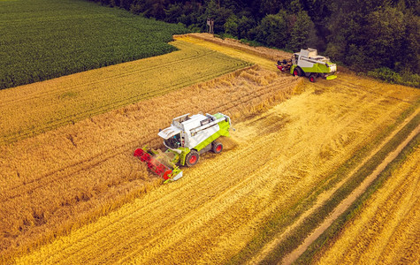 一种现代集成收割机在小麦田中工作空观察乡村景一种现代集成收割机空中观察在小麦田中工作图片