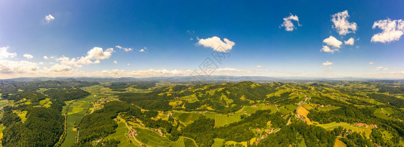 奥地利葡萄园景观南施蒂里亚的莱布尼茨地区葡萄酒国托斯卡纳等地和著名的旅游点绿山和有背景的葡萄园空中全景奥地利KitzeckimS图片