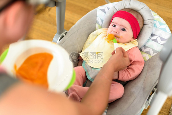 胎妈用坚固的食物喂饱饿肚子的婴儿一只小狗好奇地看着图片