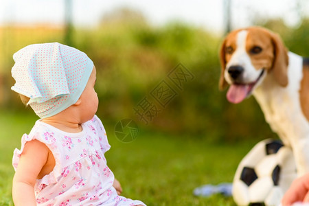 9个月大的婴儿女坐在花园草坪上穿着多彩的毯子好奇地在背景中看她的小狗图片
