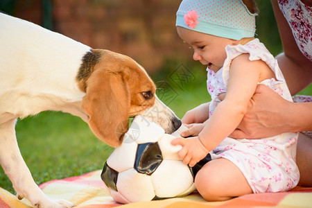 女婴在花园的毛毯上和小狗玩鸟高清图片