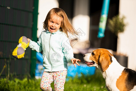 23岁的幼女在花园里玩小狗在花园里玩小狗在夏日追赶一个草地上玩具的女孩幼小23岁的童女在花园里玩小狗图片