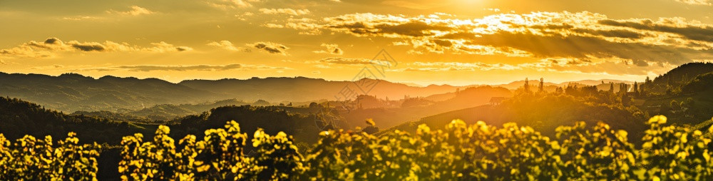 斯洛文尼亚的红酒街日落全景奥地利边境施蒂里亚葡萄树田和红林葡萄田图片