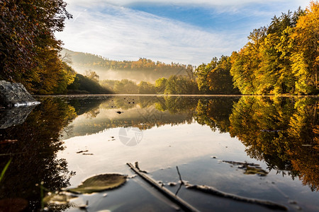 湖雾风景与奥地利塔尔州施蒂里亚的秋叶和树木反射秋季节主题ArnoldSchwarzenegger训练地点奥利塔尔州施蒂里亚的秋叶图片