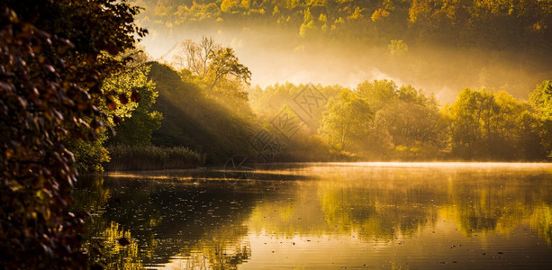 湖雾风景与奥地利塔尔州施蒂里亚的秋叶和树木反射秋季节主题ArnoldSchwarzenegger训练地点奥利塔尔州施蒂里亚的秋叶图片
