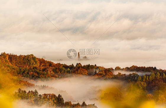 南方葡萄园地貌奥利托斯卡纳秋天日出早晨雾秋天日出图片