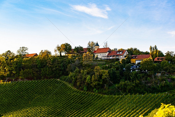 秋天在拉本兰州南施蒂里亚附近StyrianTuscananyVineyard葡萄酒爱好者旅游点图片