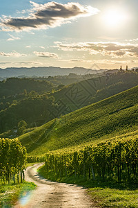 秋天在拉本兰州南施蒂里亚附近StyrianTuscananyVineyard葡萄酒爱好者旅游点图片