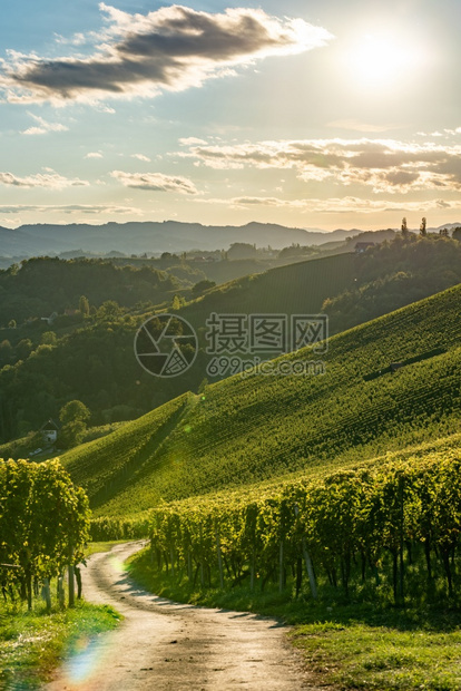 秋天在拉本兰州南施蒂里亚附近StyrianTuscananyVineyard葡萄酒爱好者旅游点图片