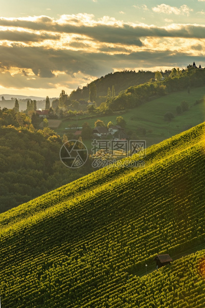 秋天在拉本兰州南施蒂里亚附近StyrianTuscananyVineyard葡萄酒爱好者旅游点图片