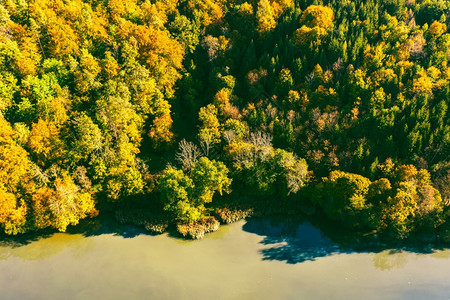 奥地利南部Styria绿花岗林的秋季森空中景象在CholollfullAlpine森林的徒步路线上查看奥地利南部Styria绿色图片