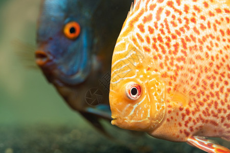 在水族馆里生主题族馆里图片