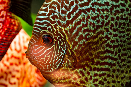 在水族馆里生主题族馆里图片