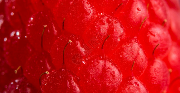 新鲜的草莓特端作为背景水果主题新鲜的草莓特端作为背景图片