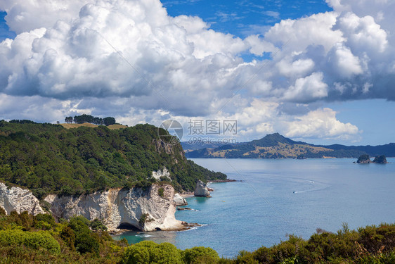 朝向大教堂海湾的视图图片